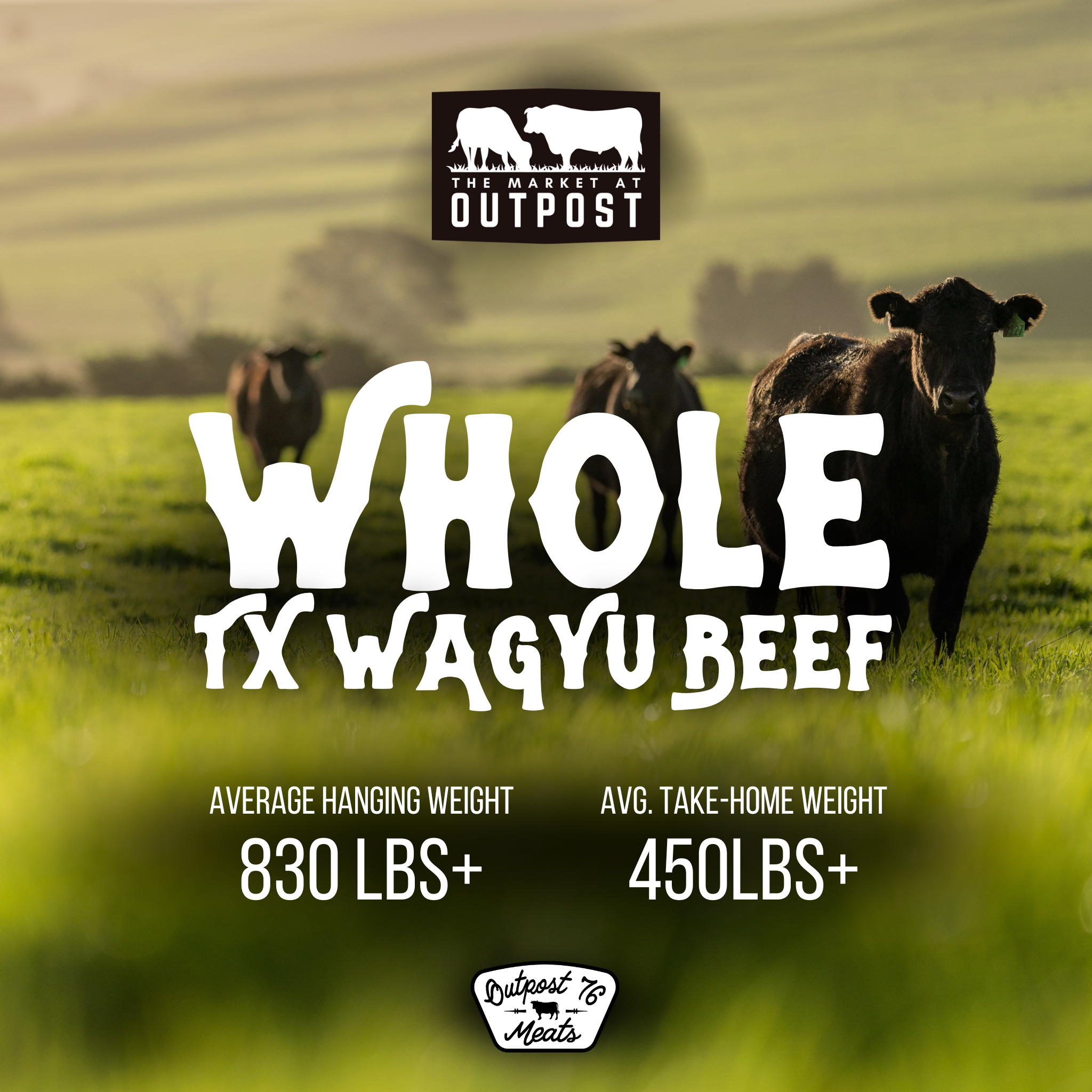 Whole Wagyu Beef Deposit