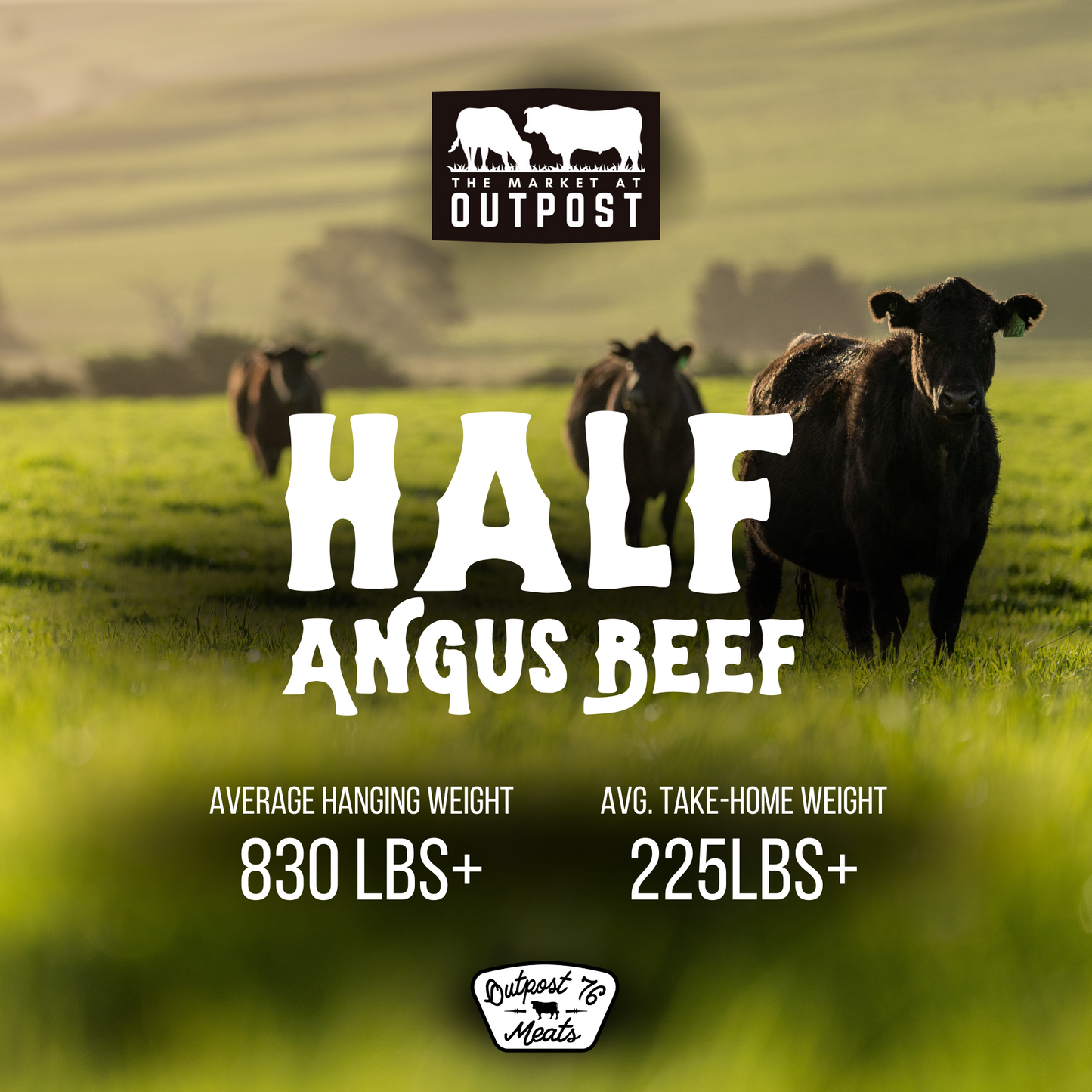 Half Angus Beef Deposit